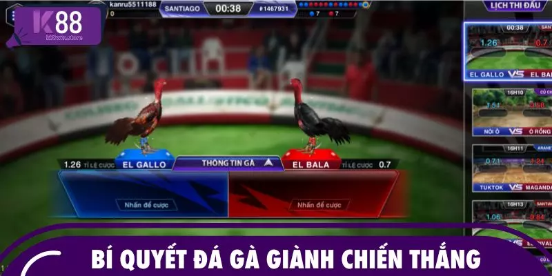 Bí quyết đá gà giành chiến thắng