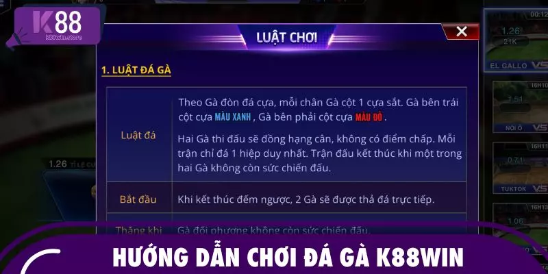 Hướng dẫn chơi đá gà K88WIN