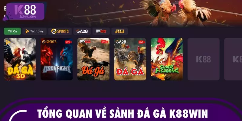Tổng quan về sảnh đá gà K88WIN